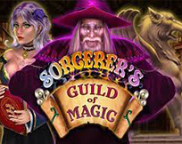 Sorcerer`s Guild of Magic